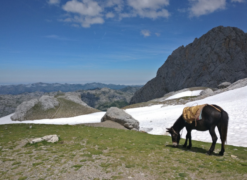 Edward on a hike in Northern Spain